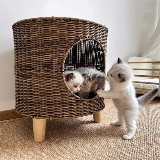 Cat Bed Cattery Keep Warm in Winter Semi-closed Rattan Weaving Kennel Pet Products Cat Carrier Pet House Ventilate All-season