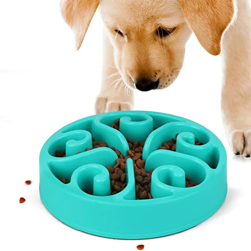 Dog Slow Feeder Bowl – Anti Gulping Non Slip Pet Food Dish