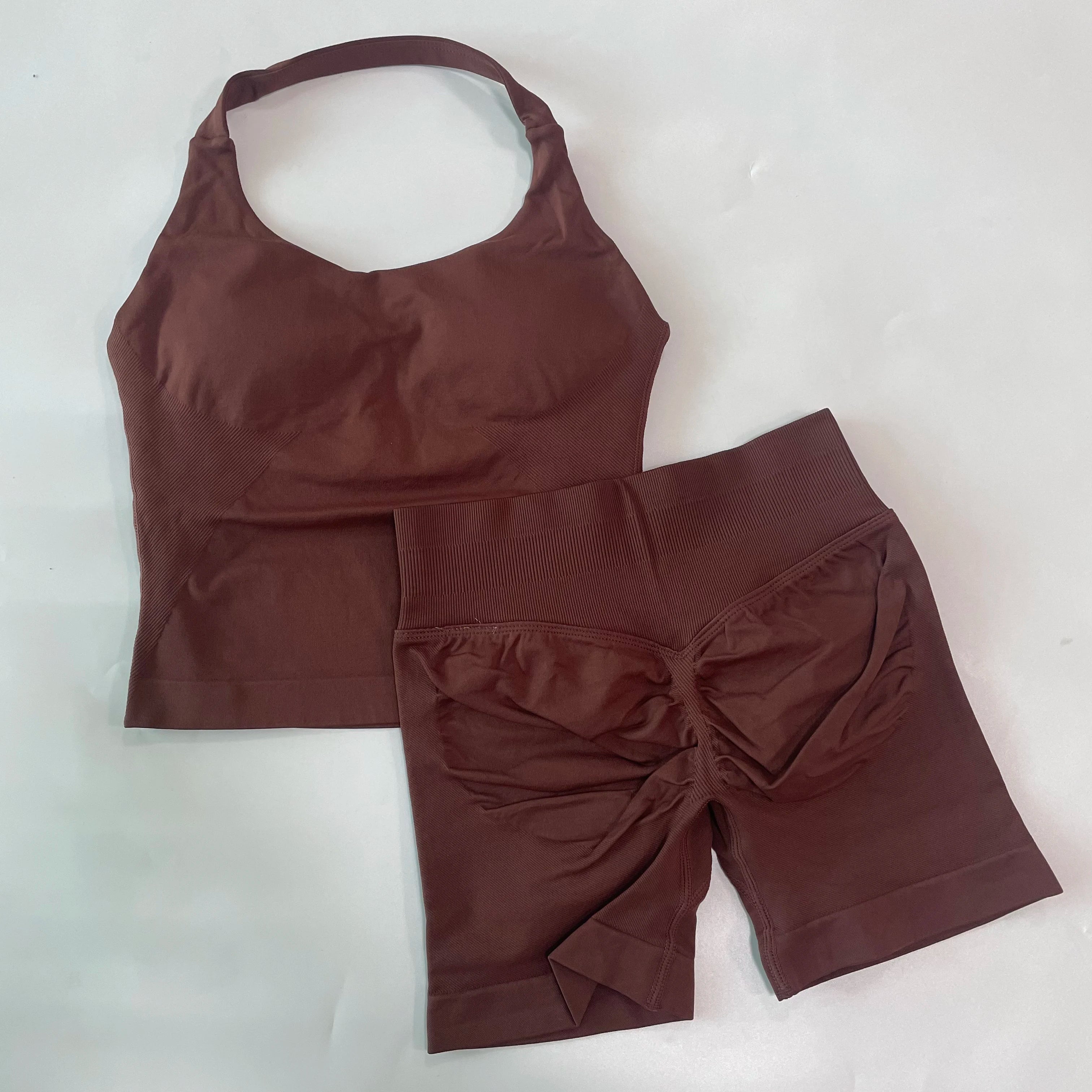 No Logo 2 Pieces Gym Set Women Backless Halter Tops High Waist Seamless Shorts Gym Suit Fitness Clothes Sportswear Workout Sets