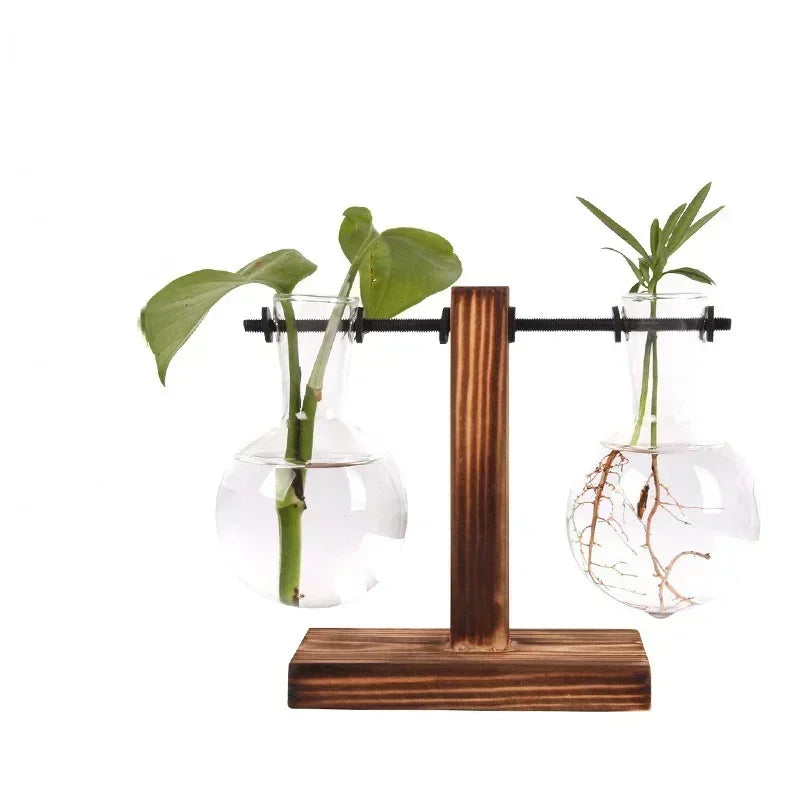 Mini Hydroponic Glass Plant Vase with Wooden Stand – Desktop & Home Decoration