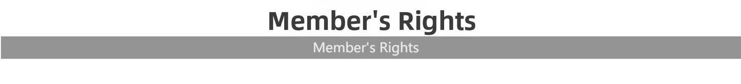 Men’s Breathable Mesh Sports Shoes