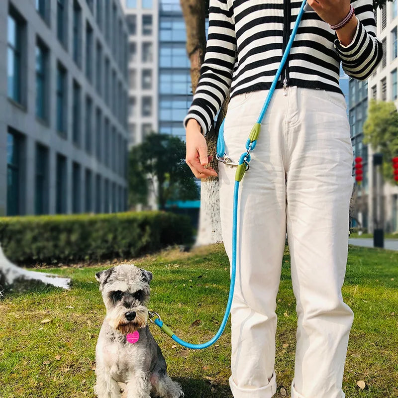 Reflective Nylon Dog Leash Hands Free Running & Walking Lead for Small Medium Large Dogs