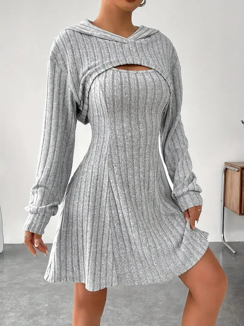 Women's Two-Piece Autumn Outfit – Long Sleeve Hooded Top & Sleeveless A-Line Dress