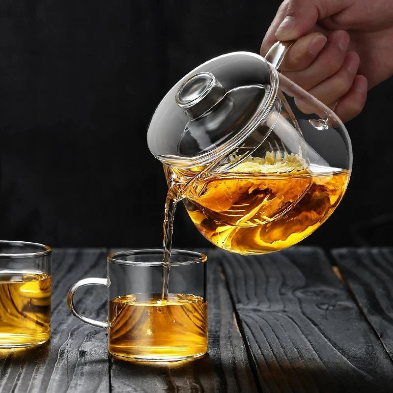 Penguin Shape Glass Teapot – Borosilicate Chinese Tea Pot with Filter