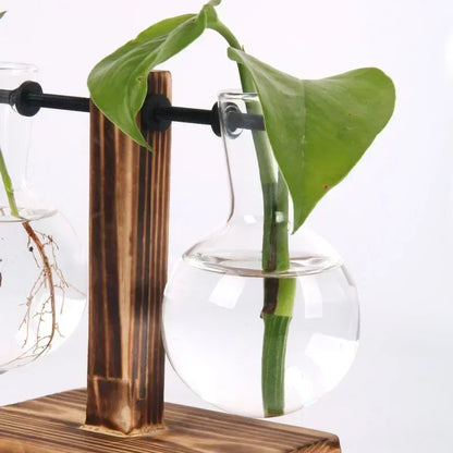 Mini Hydroponic Glass Plant Vase with Wooden Stand – Desktop & Home Decoration