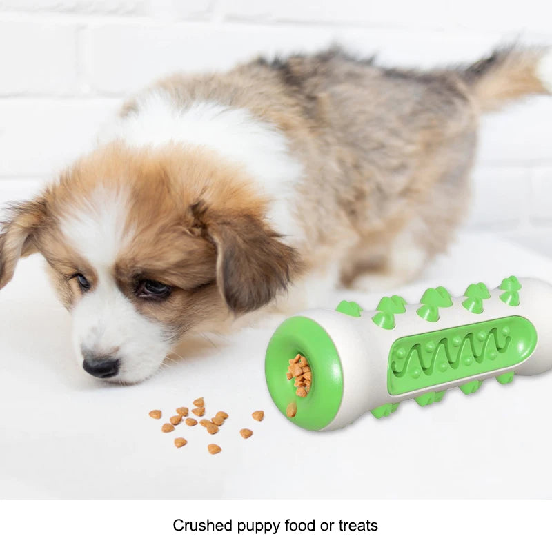 Dog Toothbrush Chew Toy – Puppy Dental Cleaning Molar Toy