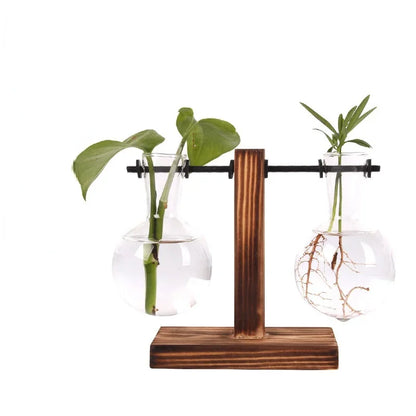 Mini Hydroponic Glass Plant Vase with Wooden Stand – Desktop & Home Decoration