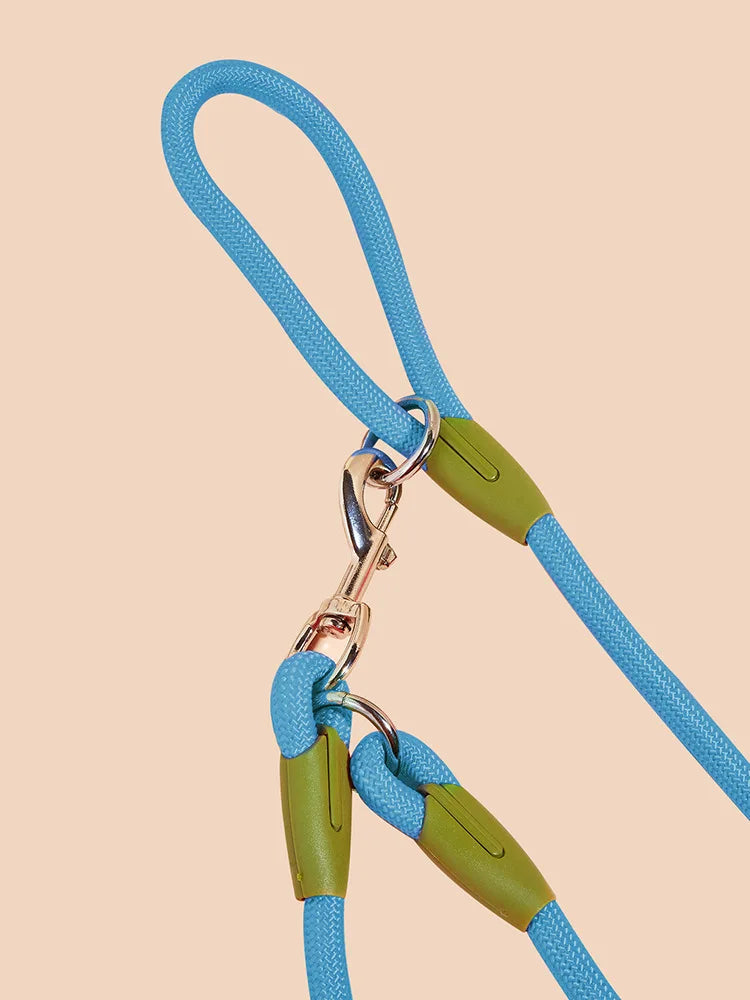Reflective Nylon Dog Leash Hands Free Running & Walking Lead for Small Medium Large Dogs