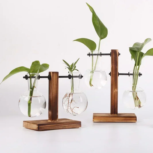 Mini Hydroponic Glass Plant Vase with Wooden Stand – Desktop & Home Decoration