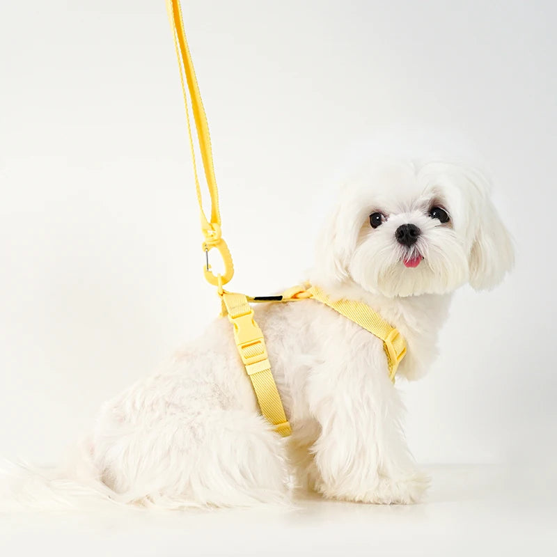 Adjustable Dog Harness & Leash Set – Reflective Macaron Pet Walking Gear