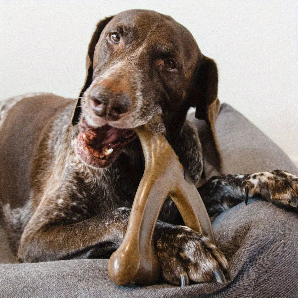 Nylon Dog Bone Chew Toy – Durable Teeth Grinding Toy