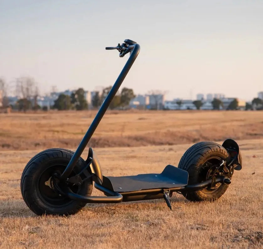 Qiaozhi Newest Design Big Two Wheels Fat Tyre Citycoco 1500W Max Disc Brake Electric Scooters Steel Frame