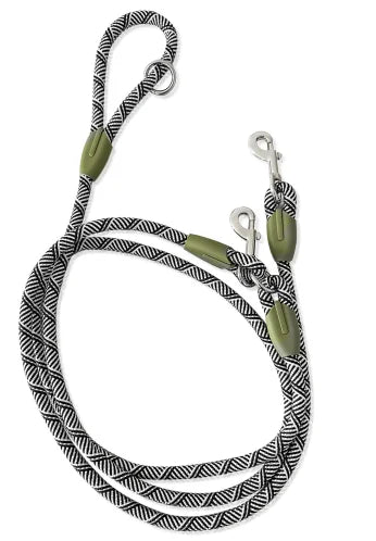 Reflective Nylon Dog Leash Hands Free Running Walking Lead for Small Medium Large Dogs