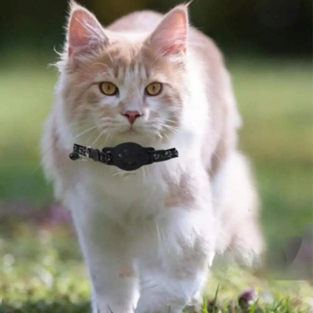 2 Kinds of Multifunctional Pet Smart GPS Trackers Cat Trackers GPS Collar Pet Kitten GPS Collar Pets Accessories iOS compatible