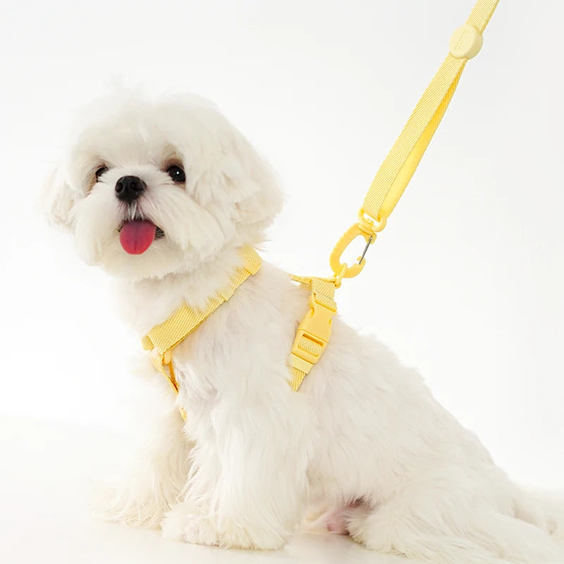 Adjustable Dog Harness & Leash Set – Reflective Macaron Pet Walking Gear