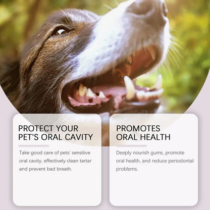 Pet Teeth Cleaning Pen for Dogs & Cats – Easy Dental Care for Fresh Breath