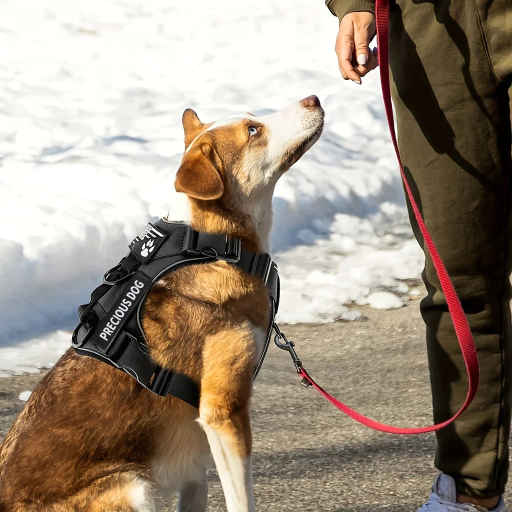 Anti-Pull Tactical Dog Harness with Night Reflective Strips, Heavy-Duty Nylon Military-Grade Vest-Style Leash for Large Dog