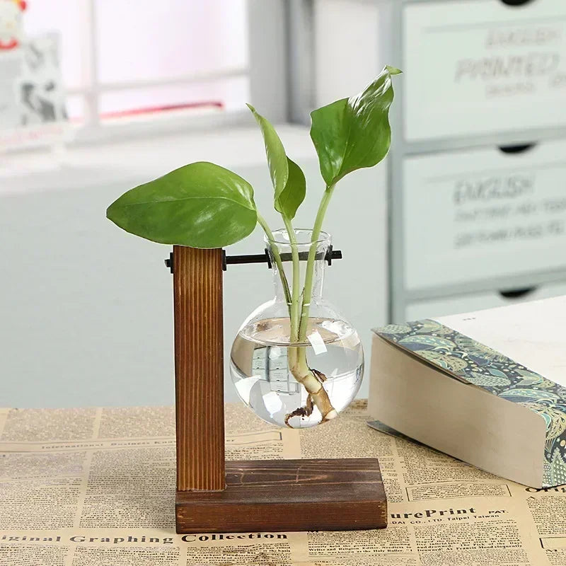 Mini Hydroponic Glass Plant Vase with Wooden Stand – Desktop & Home Decoration