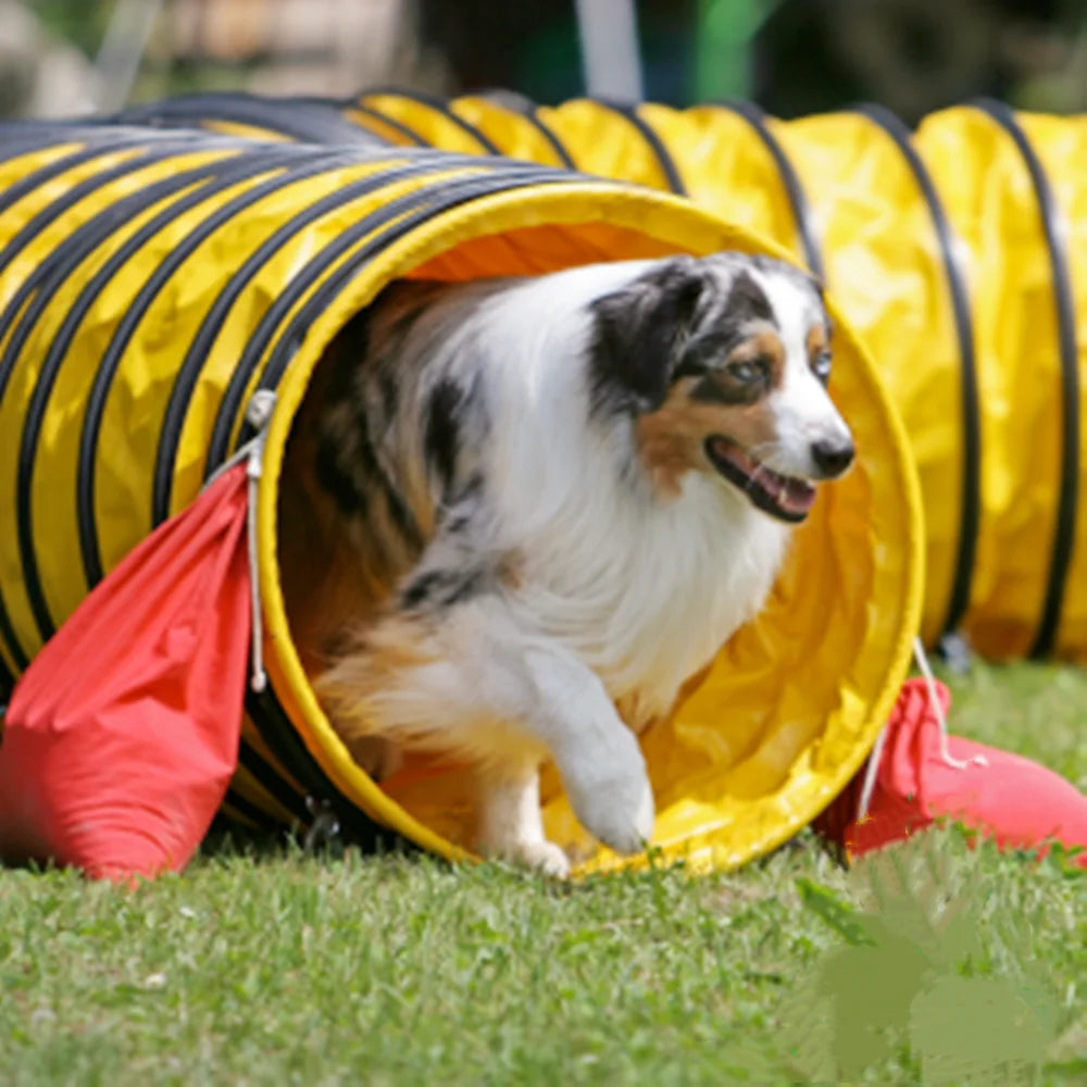 Dog Agility Tunnel – Super Thick Moisture Proof Training Tunnel