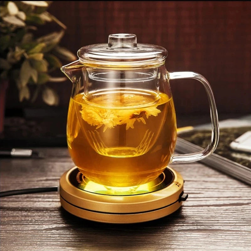 Penguin Shape Glass Teapot – Borosilicate Chinese Tea Pot with Filter