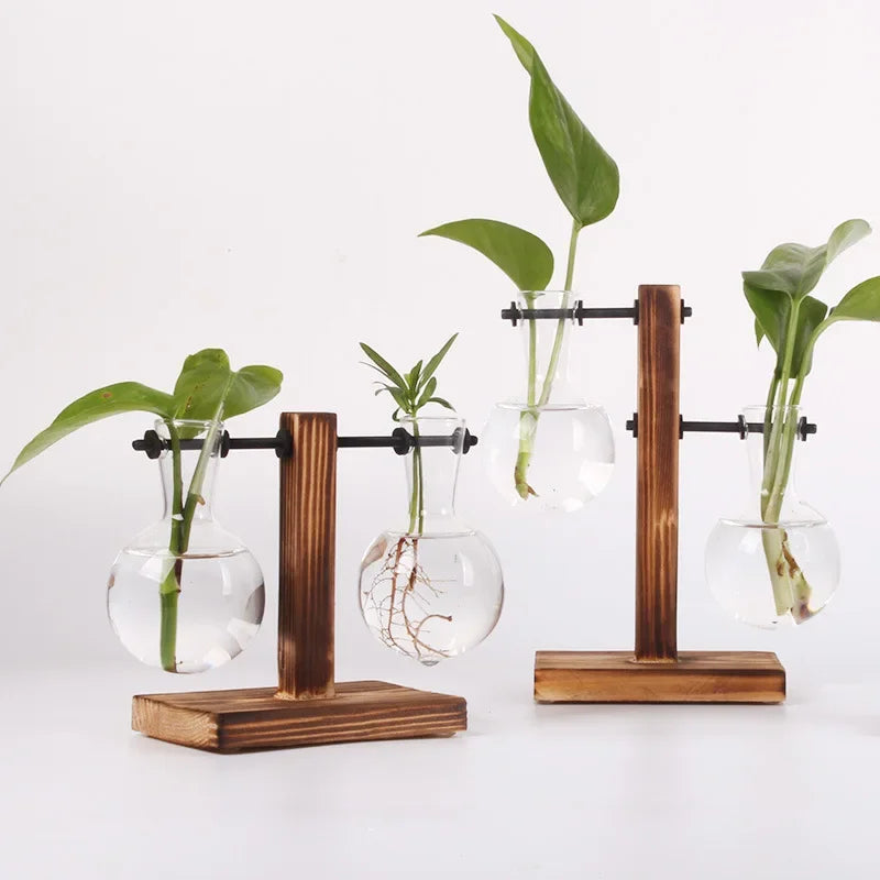 Mini Hydroponic Glass Plant Vase with Wooden Stand – Desktop & Home Decoration