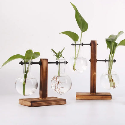 Mini Hydroponic Glass Plant Vase with Wooden Stand – Desktop & Home Decoration