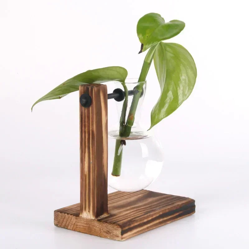 Mini Hydroponic Glass Plant Vase with Wooden Stand – Desktop & Home Decoration