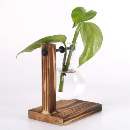 Mini Hydroponic Glass Plant Vase with Wooden Stand – Desktop & Home Decoration