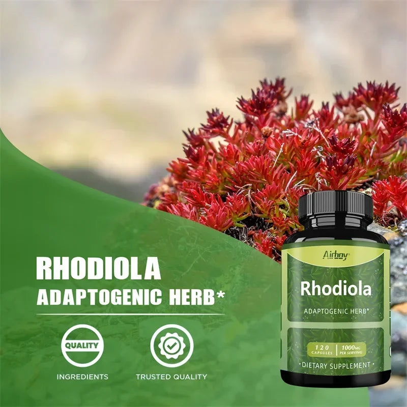 Rhodiola Supplement - Improves Athletic Performance, Endurance, Mood and Motivation, Relieves Anxiety & Improves Mood