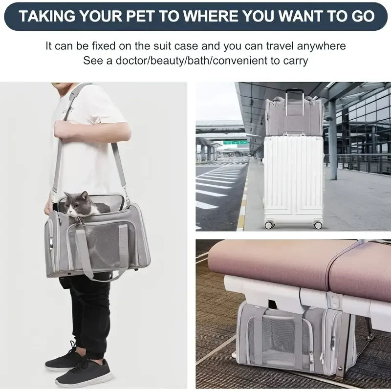 Airline Approved Pet Carrier Backpack Side Ventilated Cat & Dog Travel Bag for Small Pets