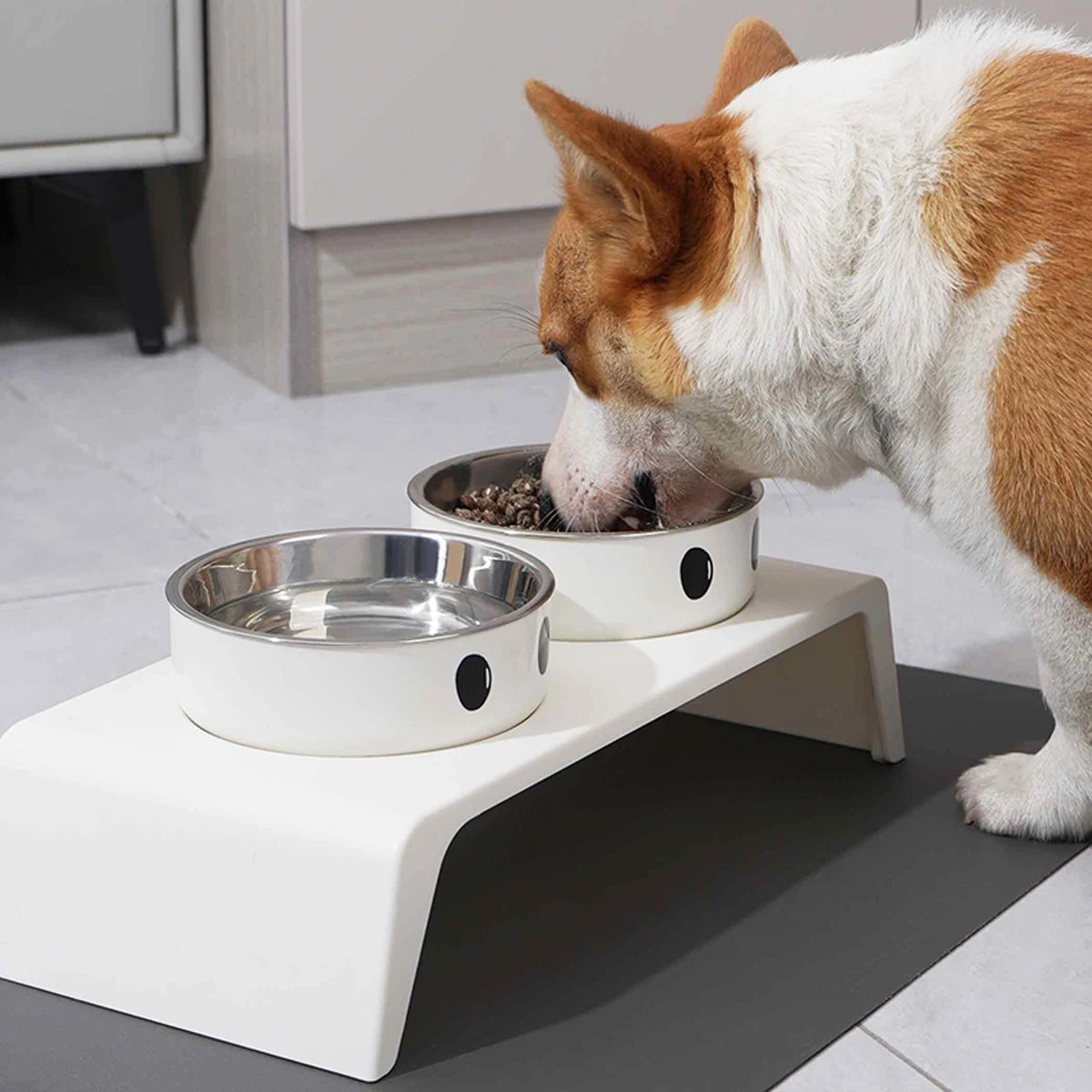 Elevated Pet Feeder – Double Stainless Steel Bowls with Raised Stand for Dogs & Cats