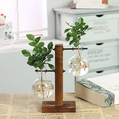 Mini Hydroponic Glass Plant Vase with Wooden Stand – Desktop & Home Decoration