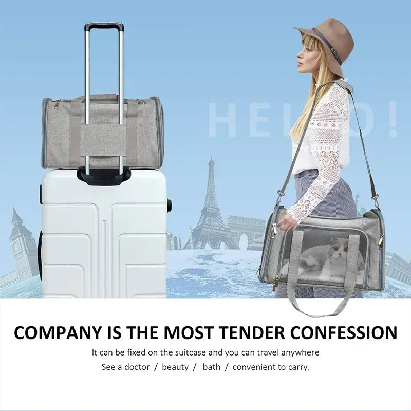 Airline Approved Pet Carrier Backpack Side Ventilated Cat & Dog Travel Bag for Small Pets
