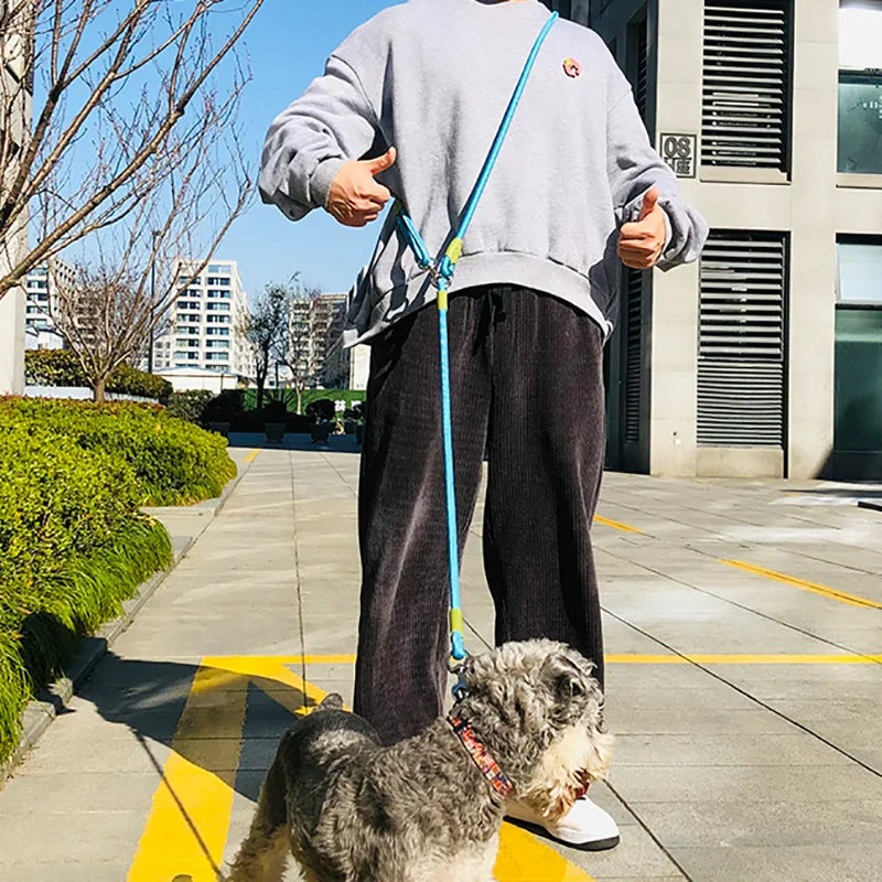 Reflective Nylon Dog Leash Hands Free Running & Walking Lead for Small Medium Large Dogs