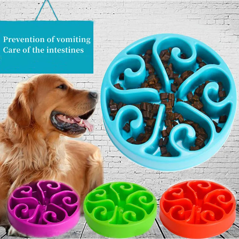 Dog Slow Feeder Bowl – Anti Gulping Non Slip Pet Food Dish