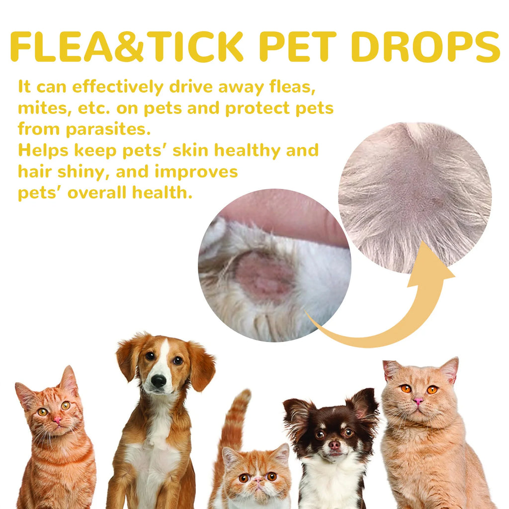 YEGBONG Pet Flea Tick Prevention Drops Fast Acting Waterproof Formula for Dogs and Cats with Sensitive Skin Vet Recommended