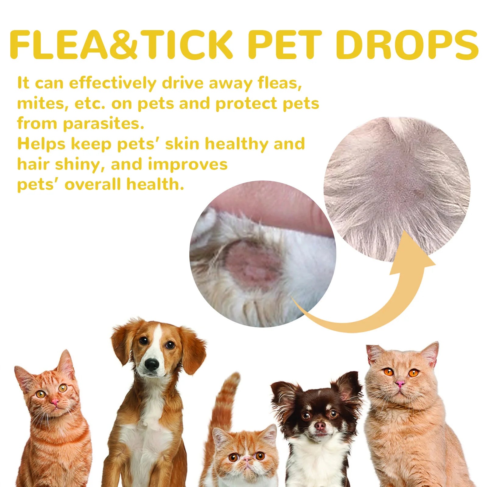 YEGBONG Pet Flea Tick Prevention Drops Fast Acting Waterproof Formula for Dogs and Cats with Sensitive Skin Vet Recommended