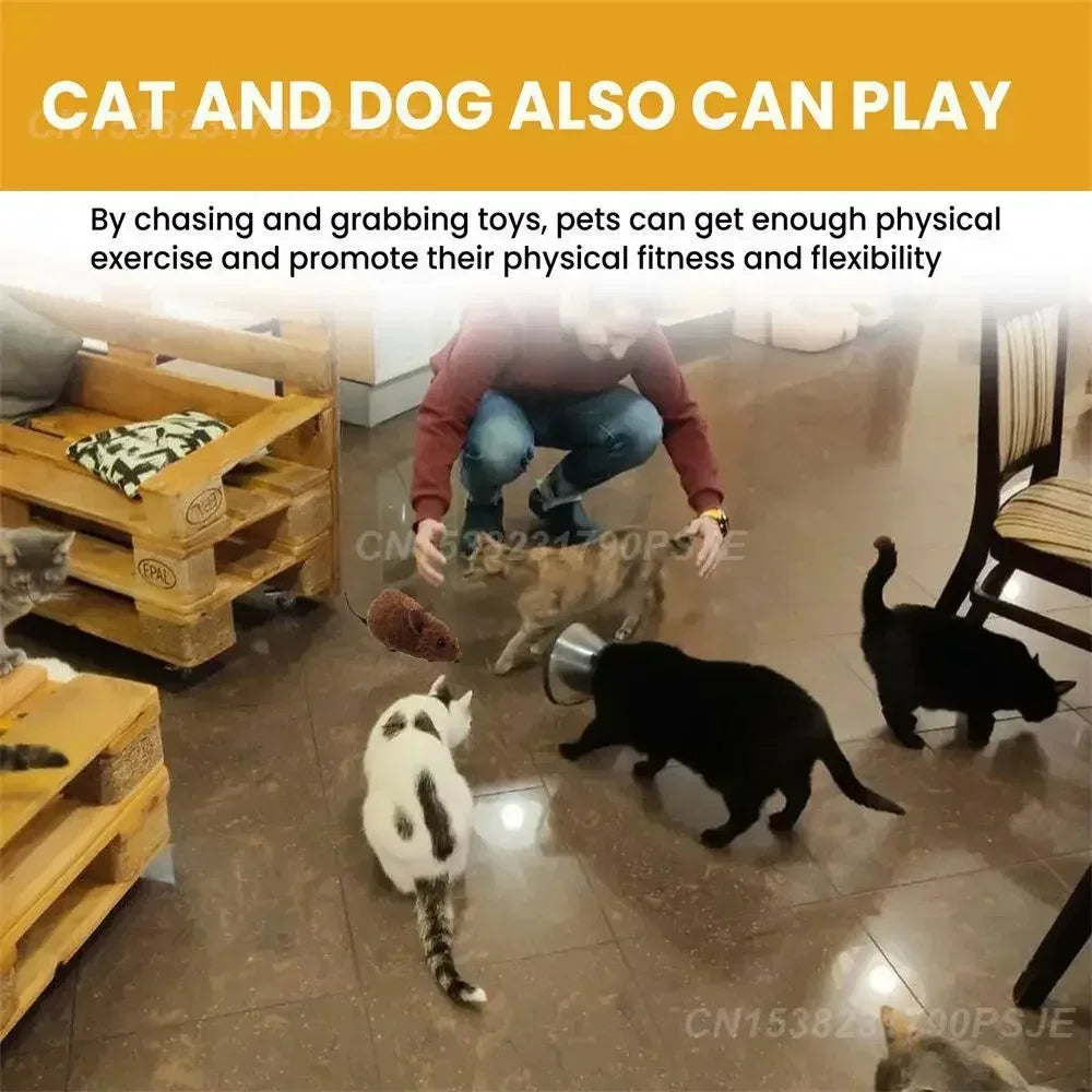 Interactive Plush Mouse Toy for Cats