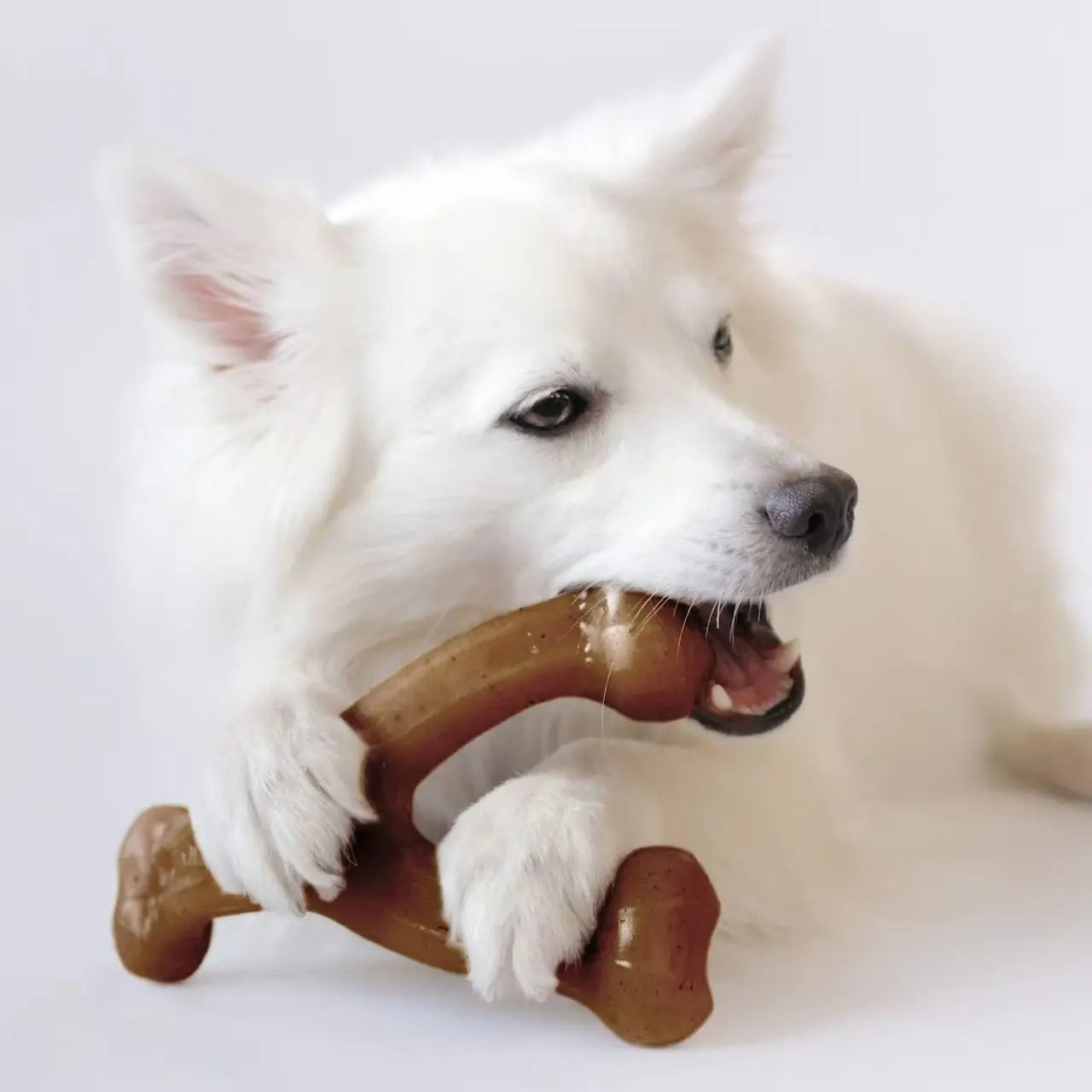 Nylon Dog Bone Chew Toy – Durable Teeth Grinding Toy