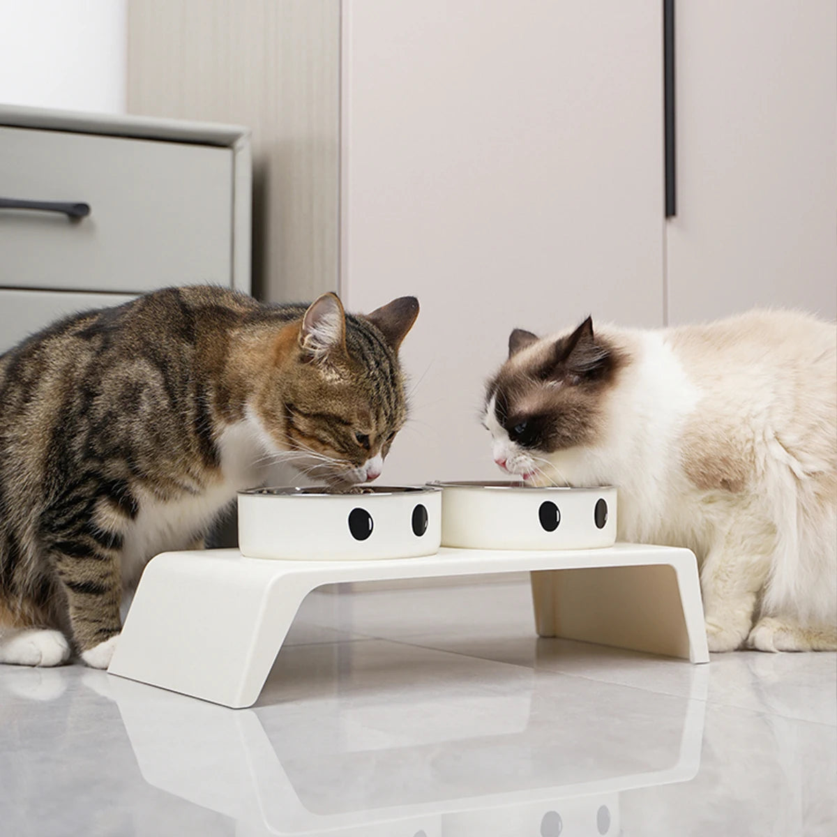 Elevated Pet Feeder – Double Stainless Steel Bowls with Raised Stand for Dogs & Cats