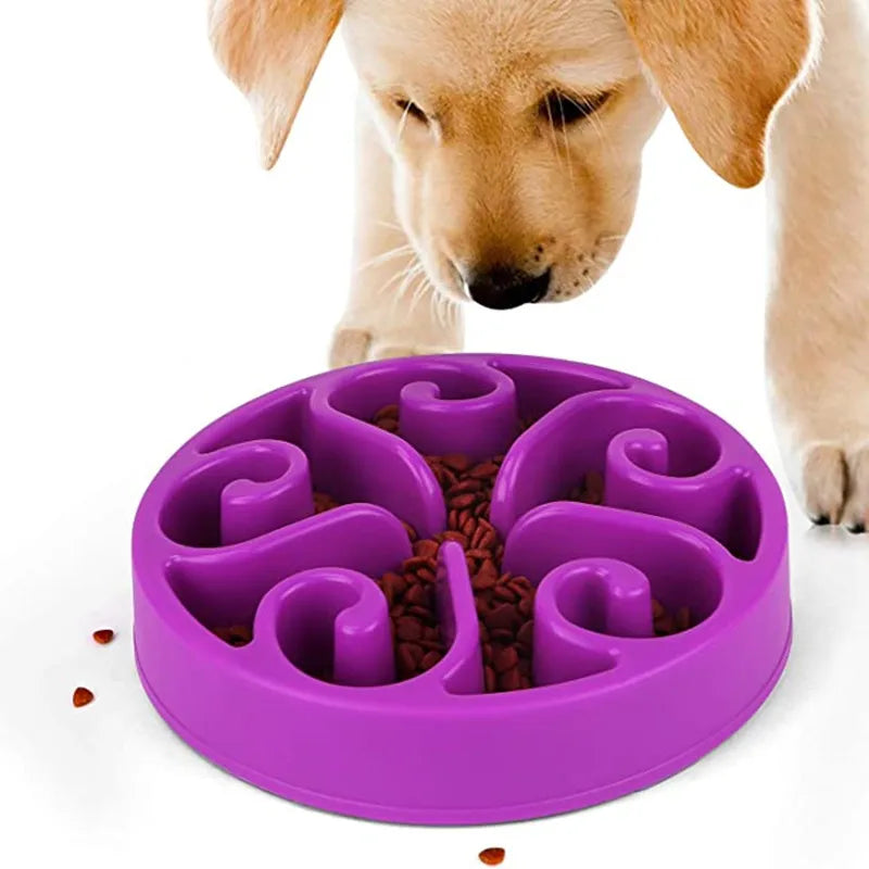 Dog Slow Feeder Bowl – Anti Gulping Non Slip Pet Food Dish