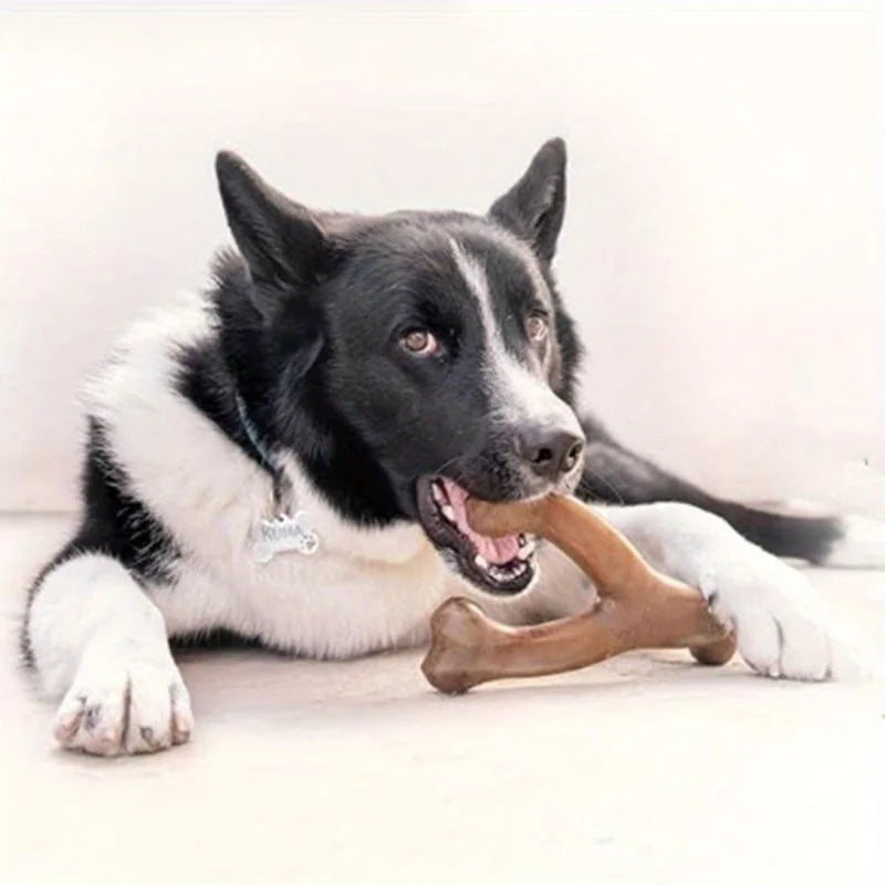 Nylon Dog Bone Chew Toy – Durable Teeth Grinding Toy