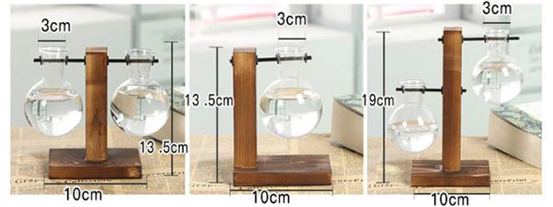 Mini Hydroponic Glass Plant Vase with Wooden Stand – Desktop & Home Decoration