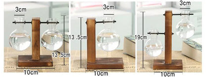 Mini Hydroponic Glass Plant Vase with Wooden Stand – Desktop & Home Decoration