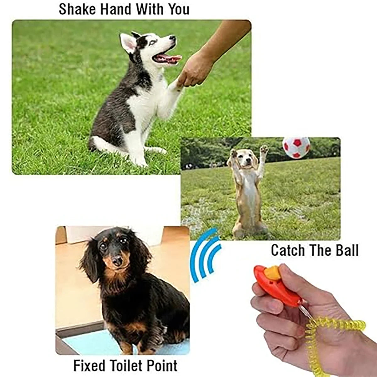 Dog Training Clicker – Pet Training Tool with Wrist Strap