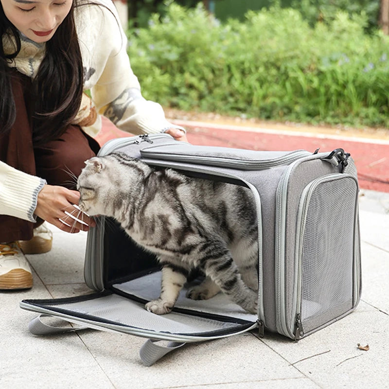 Portable Pet Carrier Backpack – Soft Side Dog & Cat Travel Bag