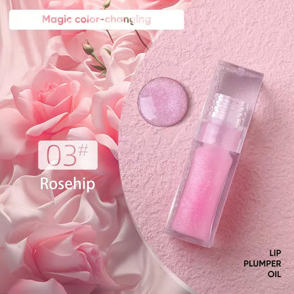 Hydrating Plumping Lip Gloss – Clear & Tinted, Long-Lasting & Waterproof
