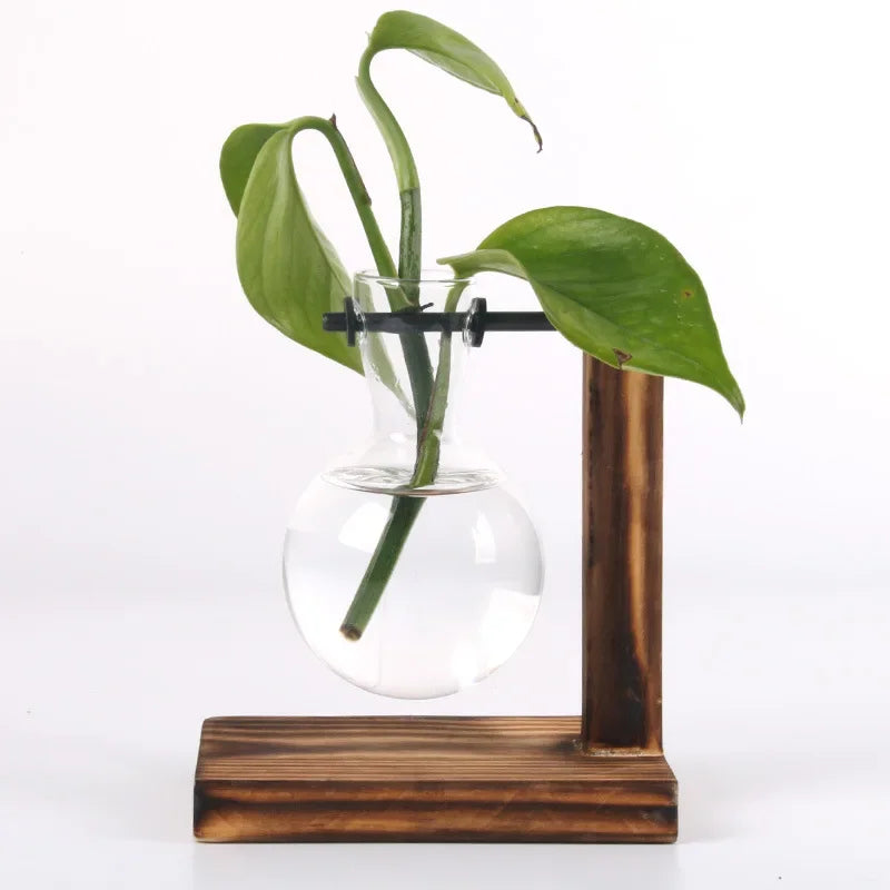 Mini Hydroponic Glass Plant Vase with Wooden Stand – Desktop & Home Decoration