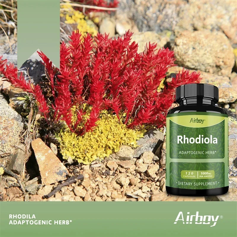 Rhodiola Supplement - Improves Athletic Performance, Endurance, Mood and Motivation, Relieves Anxiety & Improves Mood