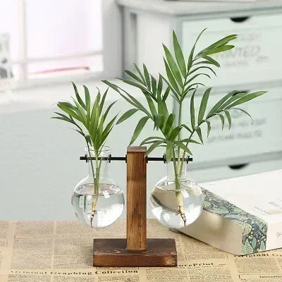 Mini Hydroponic Glass Plant Vase with Wooden Stand – Desktop & Home Decoration